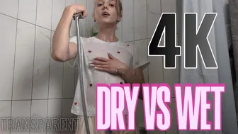 Transparent 4K Dry vs Wet Try on Haul | Kristi Ley