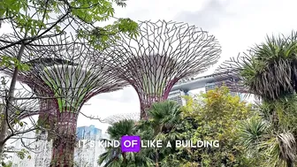 Onlyping ep.13 - Garden by the Bay in Singapore #2