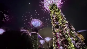 Onlyping ep.13 - Garden by the Bay in Singapore #5