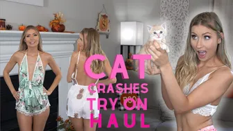 Cat Crashes Romper Try On Haul | SHEIN Try On #1