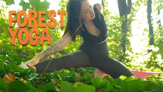 Join Our Forest Yoga Journey ????