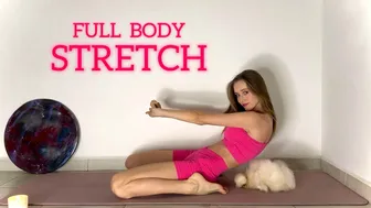 15 Min Full Body Stretch — No Talking | Stress Relief, Flexibility & Mobility