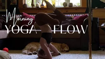 Freestyle Yoga Flow *headstand & balance training*