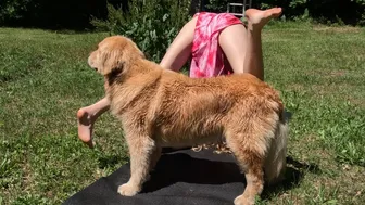 REALISTIC MORNING YOGA OUTSIDE WHEN YOU HAVE A DOG...♥️♥️ #1