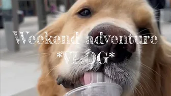 Weekend Adventure VLOG????