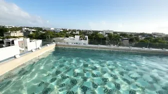 DRI NA PISCINA EM CANCÚN #4