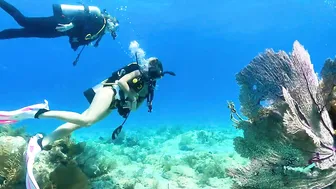 Birthday Dive Adventure in Key Largo!♥️♥️♥️♥️ #3