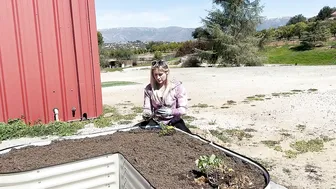 Young Woman Alone living in the Off Grid wild #4