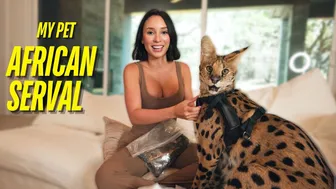 Why My African Serval Changed My Life Forever ❤️ #1